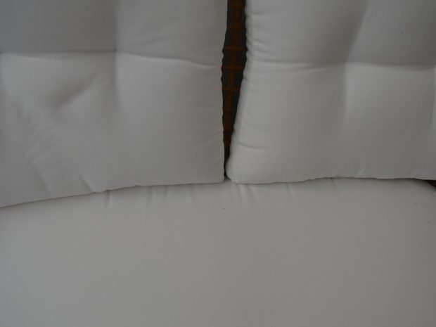 dsc_0006_17.jpg dsc_0006_17.jpg