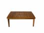 item 25901--100x60x42cm table (1)